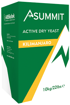 Summit Kilimanjaro